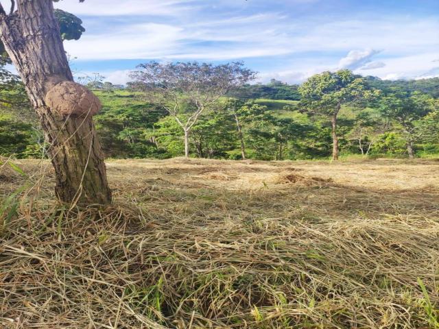 Terreno em condomínio para Venda em Lagoa Santa - 4