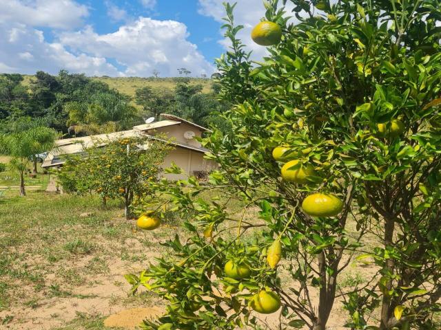 #2103 - Sítio para Venda em Itaguara - MG