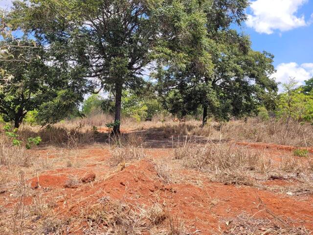 #2604 - Fazenda para Venda em Cordisburgo - MG