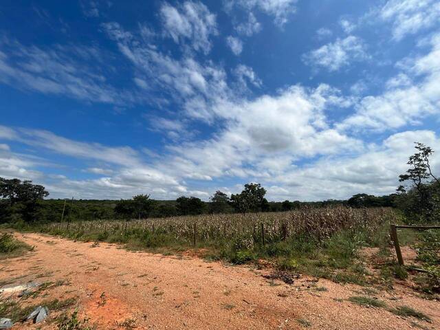 Área para Venda em Cordisburgo - 4