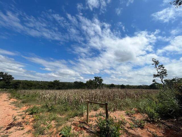 #2690 - Área para Venda em Cordisburgo - MG