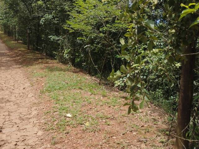 Terreno para Venda em Nova Lima - 1