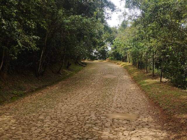 Terreno para Venda em Nova Lima - 4